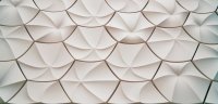 Waarom 3D wandpanelen plots in elk interieur opduiken